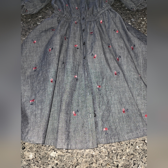 Kate Spade Denim Cherry Dress Sz M ( By Measurements ) - Picture 8 of 9